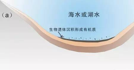 微信图片_20230213152105.png